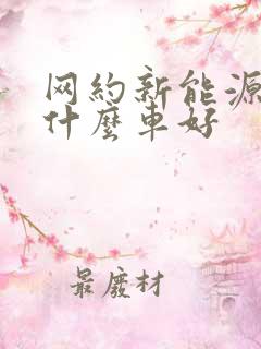 网约新能源车买什么车好