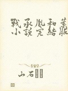战承胤和叶苜苜小说完结版