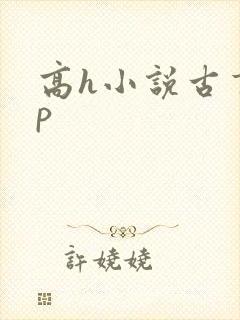 高h小说古言np