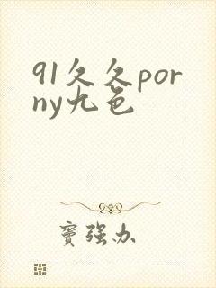 91久久porny九色