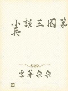 小说三国第一强兵