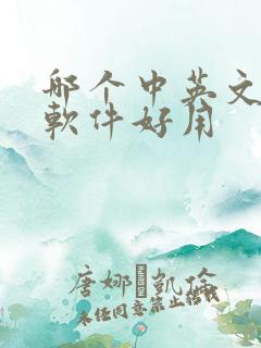哪个中英文翻译软件好用