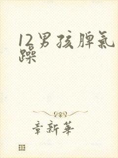 12男孩脾气暴躁