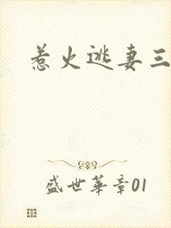 惹火逃妻三带一