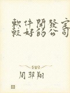 软件开发定制比较好的公司