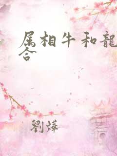 属相牛和龙合不合
