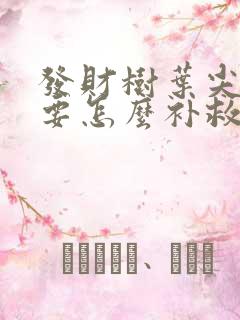 发财树叶尖干枯要怎么补救