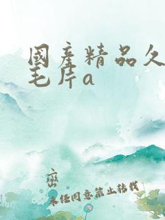 国产精品久久久毛片a