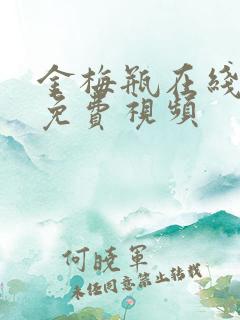 金梅瓶在线观看免费视频