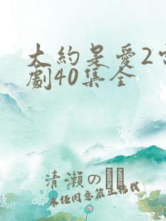 大约是爱2电视剧40集全