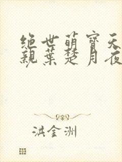 绝世萌宝天才娘亲叶楚月夜墨寒
