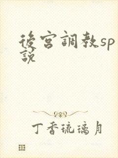 后宫调教sp小说