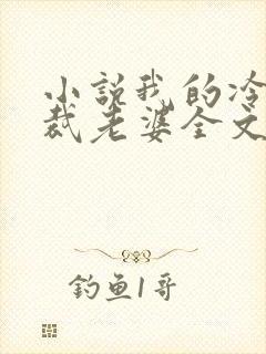 小说我的冷艳总裁老婆全文阅读