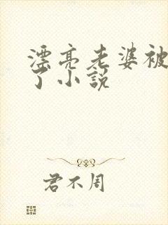 漂亮老婆被玩坏了小说