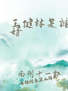 王健林是谁的女婿