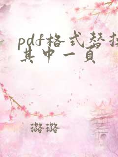 pdf格式替换其中一页
