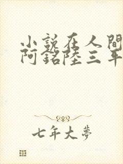 小说在人间采薇阿铭陆三平免费阅读