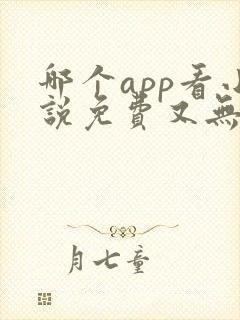 哪个app看小说免费又无广告