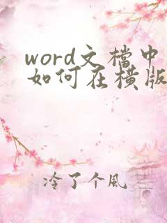 word文档中如何在横版中加入竖版