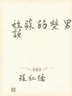 姓苏的双男主小说