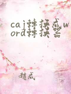 caj转换成word转换器