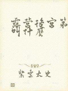 露营后宫第二部叫什么