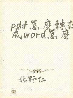 pdf怎么转换成word怎么去掉水印