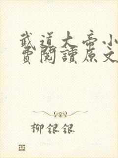 武道大帝小说免费阅读原文