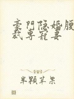 豪门隐婚腹黑总裁专宠妻