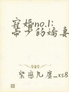 宠婚no.1:帝少的娇妻