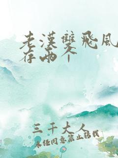 老汉双飞风韵犹存两个