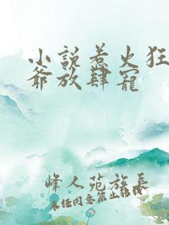 小说惹火狂妃王爷放肆宠