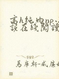 高h纯肉np小说在线阅读