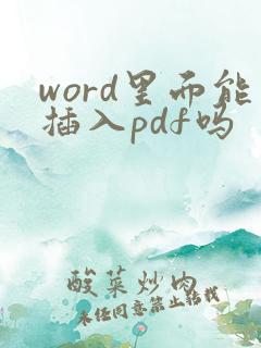 word里面能插入pdf吗