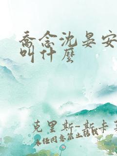 乔念沈晏安小说叫什么
