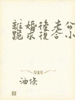 离婚后老公天天跪求复合小说