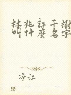 林兆许千树小说叫什么名字