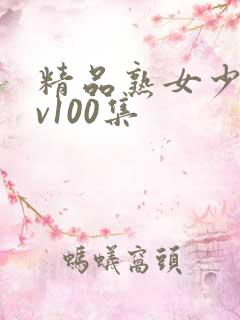 精品熟女少妇av100集
