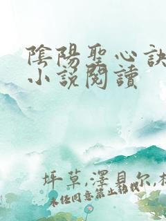 阴阳圣心诀孙哲小说阅读