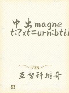 中出magnet:?xt=urn:btih: