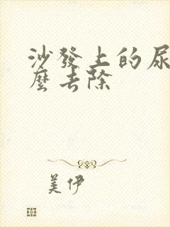 沙发上的尿渍怎么去除