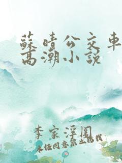 苏晴公交车被弄高潮小说