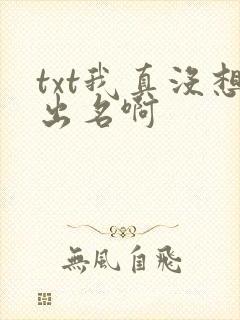 txt我真没想出名啊