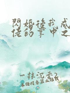 闪婚后我成了大佬的掌中之物网剧