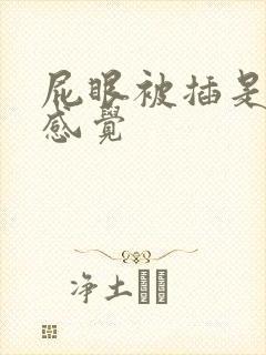 屁眼被插是什么感觉