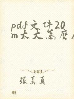 pdf文件20m太大怎么压缩成2m