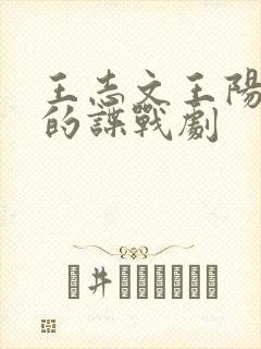 王志文王阳主演的谍战剧