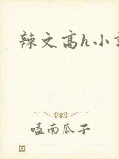 辣文高h小说