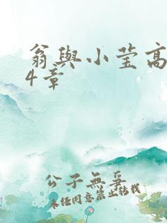 翁与小莹高潮24章