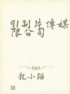 91制片传媒有限公司